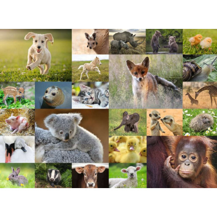 Avis Puzzle Adorables bébés animaux - de 8 ans RAVENSBURGER 2