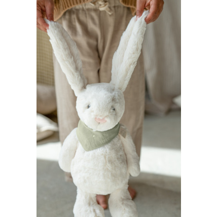 Avis Patrick le Lapin unique Petit Picotin 2