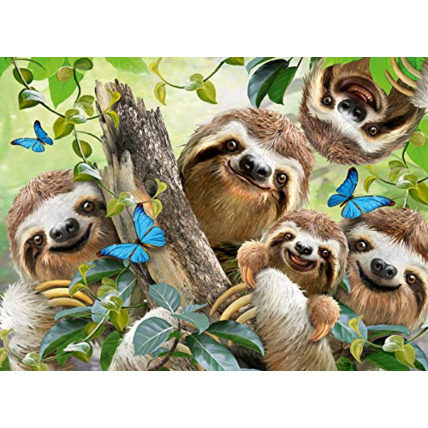 Avis Puzzle - Selfie Paresseux - 500 pièces RAVENSBURGER 1