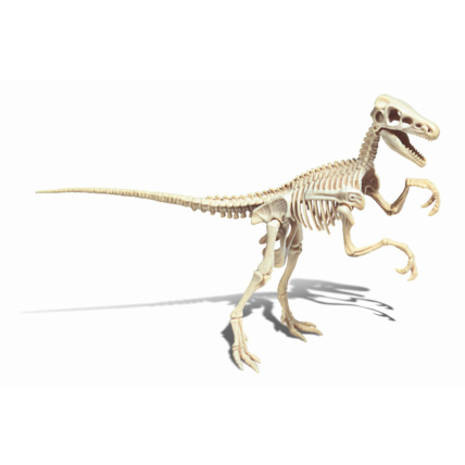 Avis Archéo Ludic - Vélociraptor Clementoni 2