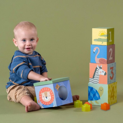 Avis Cubes gigognes Boîtes à formes 3 en 1 TAF TOYS 2