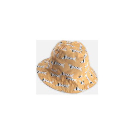Avis Chapeau Reversible Archimède NOUKIE'S 2