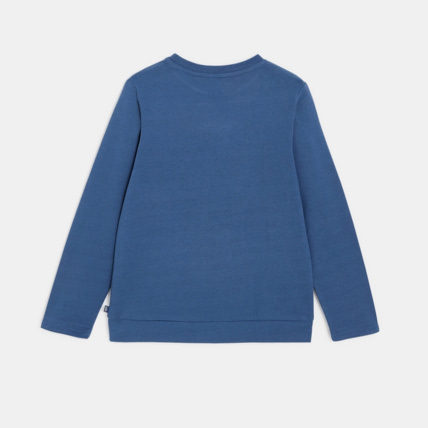 Avis Sweat-shirt à message "nature is the future" bleu garçon OKAIDI 4