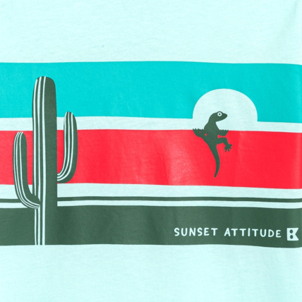 Avis T-shirt à motif imprimé bleu garçon OKAIDI 3