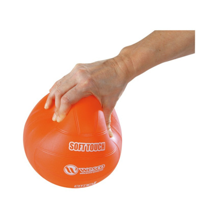 Avis Ballon de volley-ball Soft Touch Wesco 1