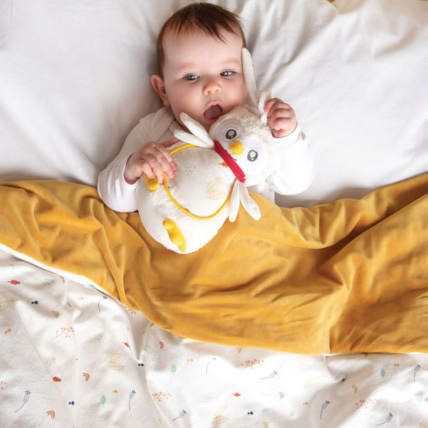 Avis Couverture bébé Trois Kilos Sept 6