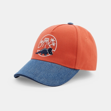 Avis Casquette bi-matière dinosaure OBAÏBI 1