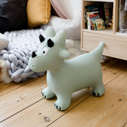 Avis Animal sauteur gonflable KINDSGUT 7