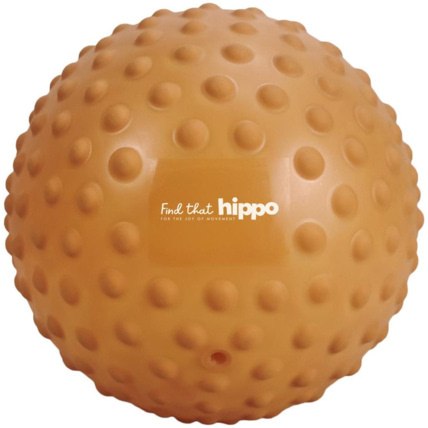 Avis Balle sensorielle Find that hippo 2