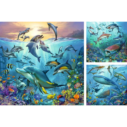 Avis Puzzle Le monde animal de l'océan - de 5 ans RAVENSBURGER 2