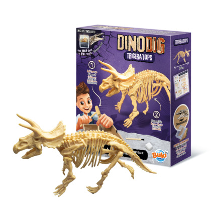 Avis Dino Dig - Triceratops Buki France 1