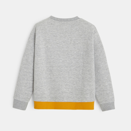 Avis Sweat-shirt tricolore gris garçon OKAIDI 2
