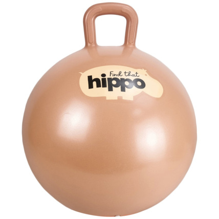 Avis Ballon sauteur Find that hippo 2