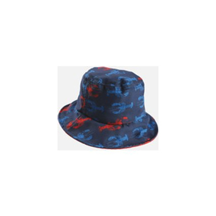 Avis Chapeau Archimède NOUKIE'S 6