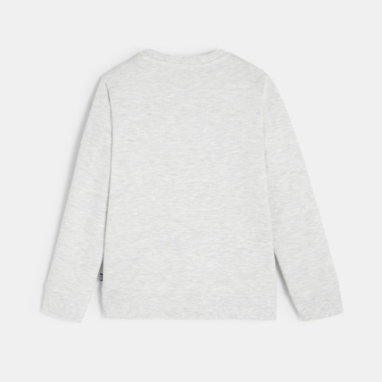 Avis Sweat à sequins magiques gris garçon OKAIDI 3