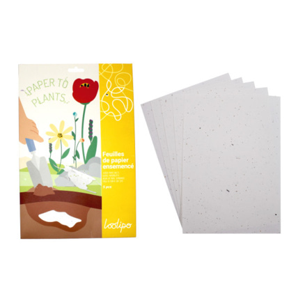 Avis Papier Ensemencé Floral - A4 LOOLIPO 1