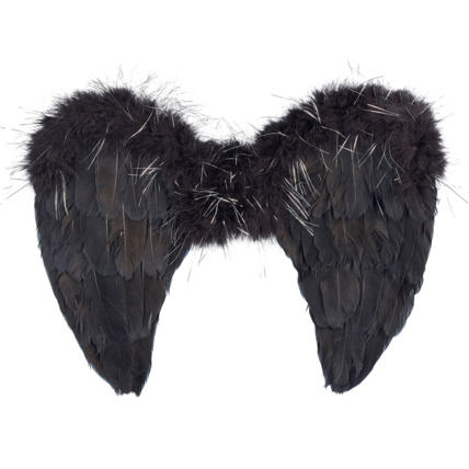 Avis Ailes d'ange noires Nyx SOUZA 1