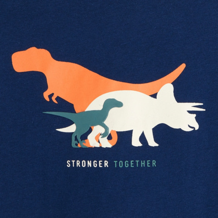 Avis T-shirt motif dinosaures bleu garçon OKAIDI 3