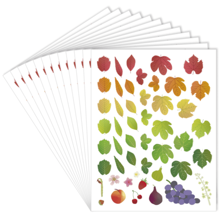 Avis Gommettes En Papier - Les 4 Saisons LOOLIPO 1