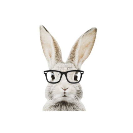 Avis Sticker lapin Stephan - lunettes Mon Lit Cabane 1