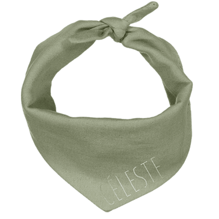 Avis Edgar le foulard Petit Picotin 1