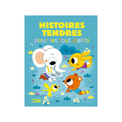 Avis Livre Histoires tendres pour les tout-petits Éditions Lito 1
