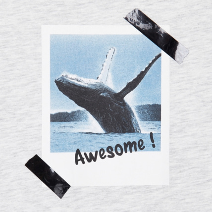 Avis T-shirt en coton biologique photo baleine blanc garçon OKAIDI 3