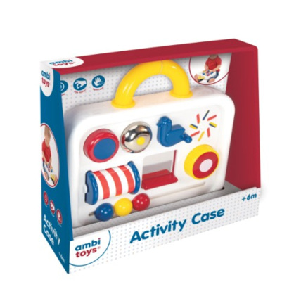 Avis Tableau d'actvités AMBITOYS 2