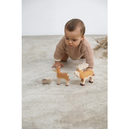 Avis Le lapin Petit Picotin 3