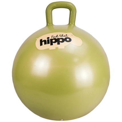 Avis Ballon sauteur Find that hippo 1