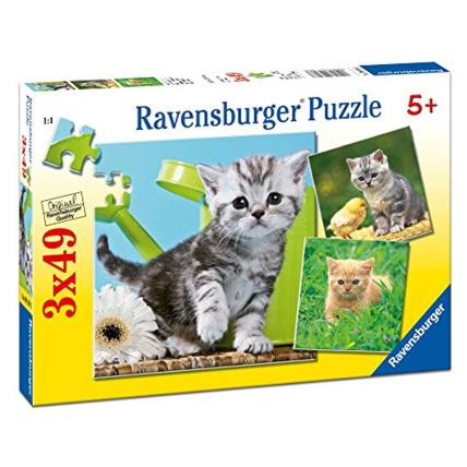 Avis Puzzles - Chats Aventures - 3x49 pièces RAVENSBURGER 1