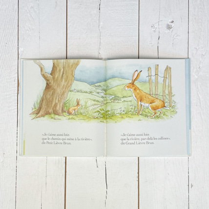 Avis Livre Devine combien je t'aime Petit Picotin 4