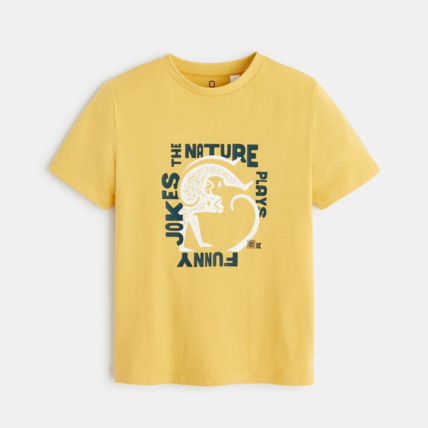 Avis T-shirt à motif jaune garçon OKAIDI 1