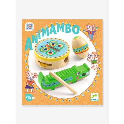 Avis Animambo set de percussion DJECO 2