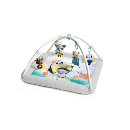 Avis Tapis Plush Gymini ultra-confort Tiny Love 1