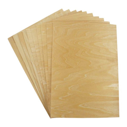 Avis Feuilles Bois - A4 LOOLIPO 1