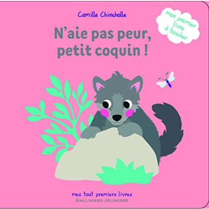 Avis Livre N'Aie Pas Peur, Petit Coquin GALLIMARD JEUNESSE 1