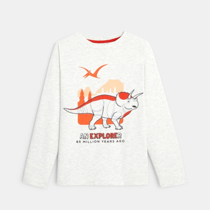 Avis T-shirt motif dinosaure en coton biologique orange garçon OKAIDI 1