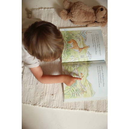Avis Livre Veux-tu être mon ami Petit Picotin 5