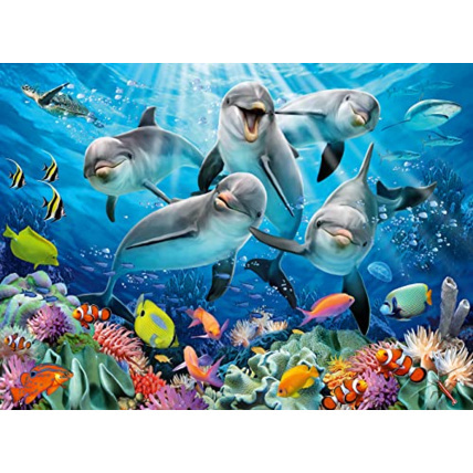 Avis Puzzle - Dauphins sur le récif de corail - 500 pièces RAVENSBURGER 1