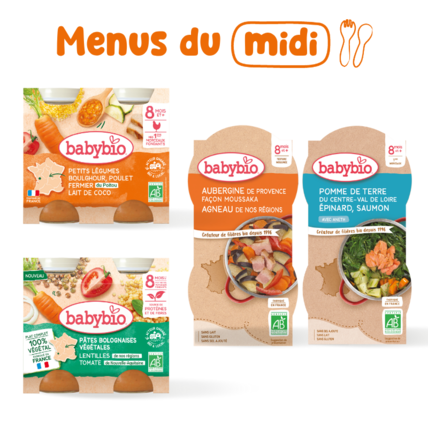 Avis Pack repas bébé midi avec plat végétarien 8 mois Babybio 1