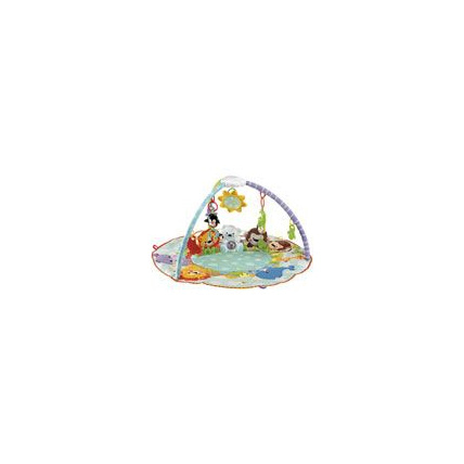 Avis Tapis d'éveil Douce Planète de luxe Fisher-Price 1