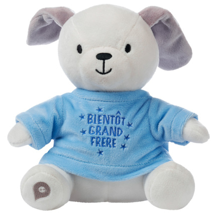 Avis Habillage pour peluche à texte annonce grand frère brodé Prémaman 1