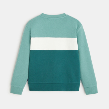 Avis Sweat-shirt tricolore vert garçon OKAIDI 4