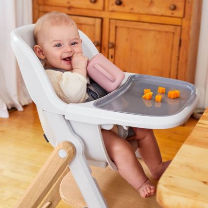 Avis Siège bébé et tablette pour Chaise Haute Evolve Ergobaby 3
