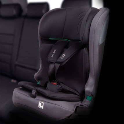Avis Siège auto Profix ASALVO 4