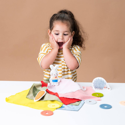 Avis Jeu de Cache-Cache TAF TOYS 4