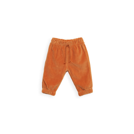 Avis Pantalon velours côtelé orange Lucia Play Up 1