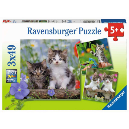 Avis Puzzle Chatons tigrés - de 5 ans RAVENSBURGER 1