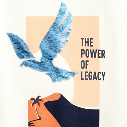 Avis T-shirt "the power of legacy" blanc garçon OKAIDI 3